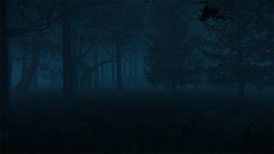 первый скриншот из Survival in Forest