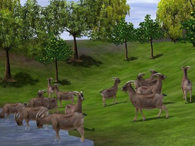 первый скриншот из Wildlife Park 2: Crazy Zoo