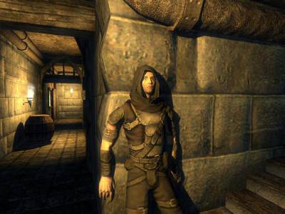 второй скриншот из Thief: Deadly Shadows