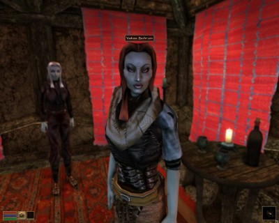 первый скриншот из The Elder Scrolls III: Morrowind - Плагины