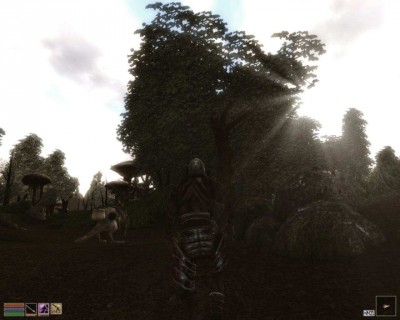 третий скриншот из The Elder Scrolls III: Morrowind - Плагины