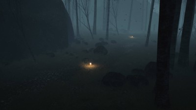третий скриншот из Dead Forest