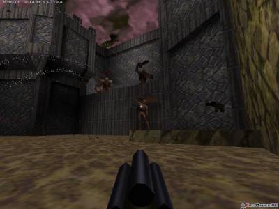 первый скриншот из Quake I