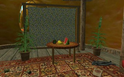 первый скриншот из Grand Theft Auto: San Andreas - Mushroomia