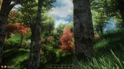 четвертый скриншот из The Elder Scrolls 4: Oblivion based on Bevilex & Reisen Abe's modlists