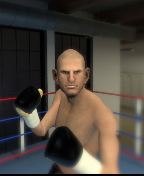 The Thrill of the Fight: VR Boxing