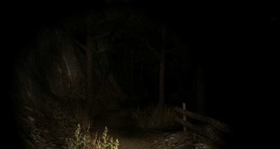 первый скриншот из Forest 2