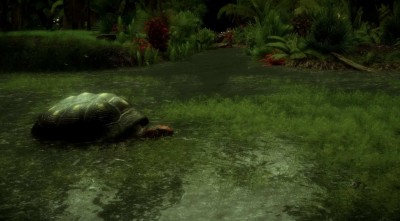четвертый скриншот из The Red-Footed Tortoise