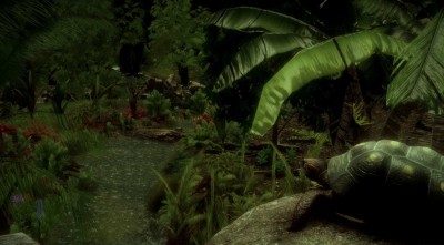 третий скриншот из The Red-Footed Tortoise