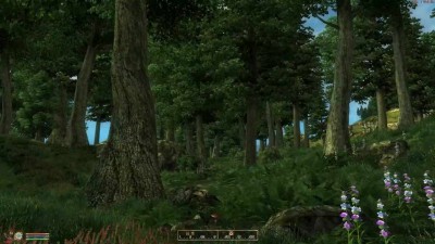 первый скриншот из The Elder Scrolls IV: Oblivion - Goty Extreme Graphics