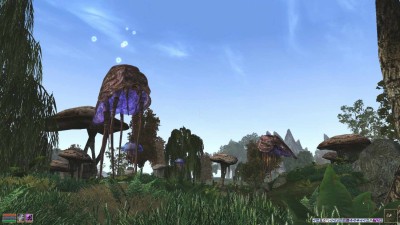 третий скриншот из Morrowind: Symphony THE