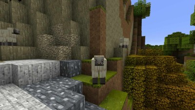 первый скриншот из Текстурные паки для Minecraft