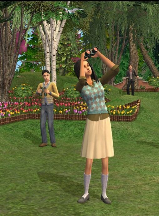 The Sims 2 Mod Pack