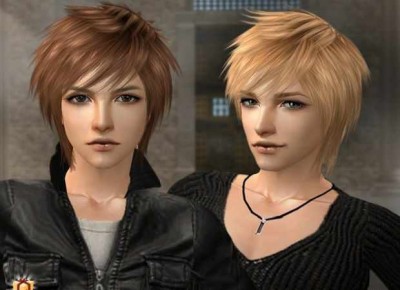 второй скриншот из The Sims 2 Male & Female Hair Donation items