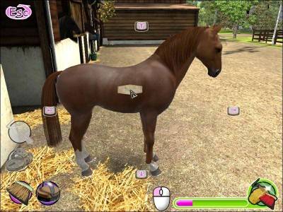 второй скриншот из My Gallops 3D / Лошадь моей мечты. Вперед к победе!