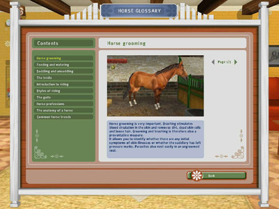 первый скриншот из My Pony Club