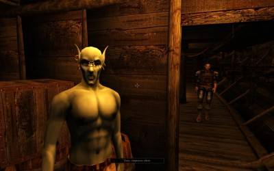 первый скриншот из The Elder Scrolls III: New Morrowind