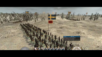первый скриншот из Great Northern War