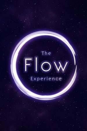 The Flow Experience