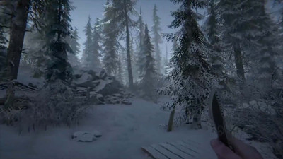 четвертый скриншот из Silence in the Cabin