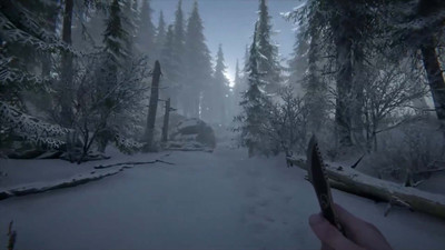второй скриншот из Silence in the Cabin