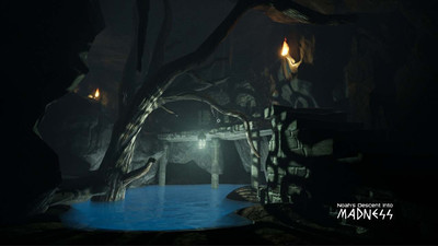 третий скриншот из Noah's Descent into Madness