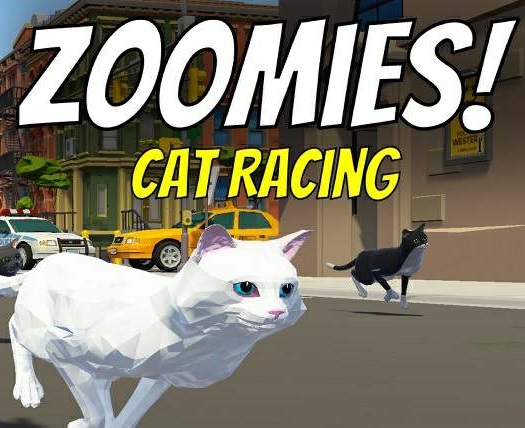 Zoomies! Cat Racing