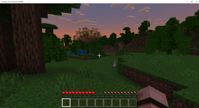 второй скриншот из Minecraft: Bedrock Edition Cracked