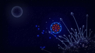 четвертый скриншот из Microcosmum: survival of cells
