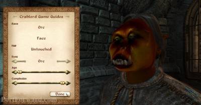 первый скриншот из The Elder Scrolls IV: Oblivion - perfect (ex GBR's edition)