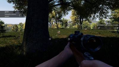 третий скриншот из Hunting Simulator