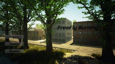 первый скриншот из FreeFly Burning