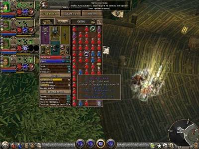 первый скриншот из Dungeon Siege: Alvarius
