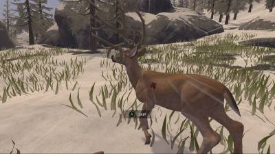 третий скриншот из Deer Hunter: Reloaded