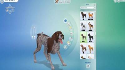 четвертый скриншот из The Sims 4 Кошки и собаки
