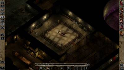 второй скриншот из Baldur's Gate II: Enhanced Edition