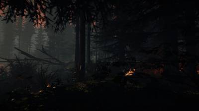 второй скриншот из The Forest / Лес