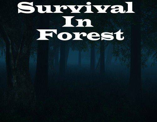 Обложка Survival in Forest
