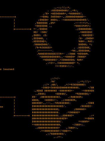 ASCII Portal