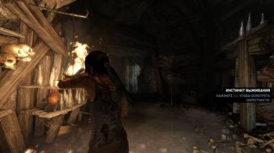 третий скриншот из Tomb Raider