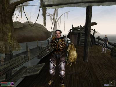 третий скриншот из The Elder Scrolls III: Morrowind