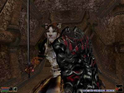 четвертый скриншот из The Elder Scrolls III: Morrowind