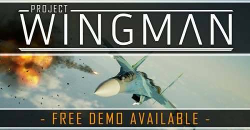 free download project wingman ps5