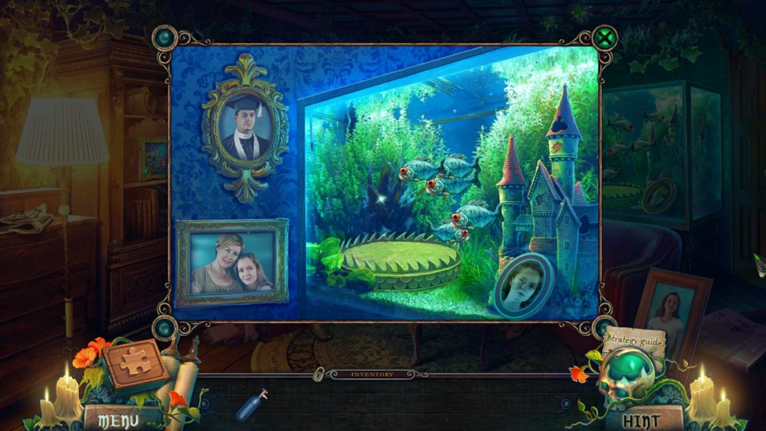 Пробуждение или наследие. Awakening: the Golden age Collector's Edition. Awakening: the Goblin Kingdom Collector's Edition. Nature Escapes 3 Collector’s Edition big Fish games.