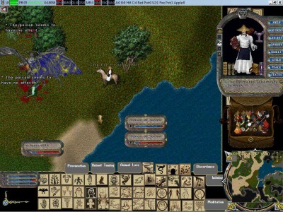 первый скриншот из Ultima Online: Age of Shadows