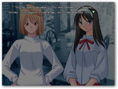 третий скриншот из Tsukihime Plus+Disc