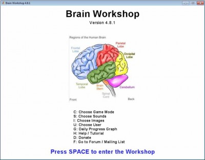 третий скриншот из Brain Workshop