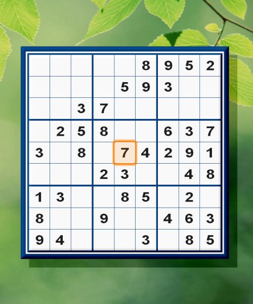 Sudoku Up 2009