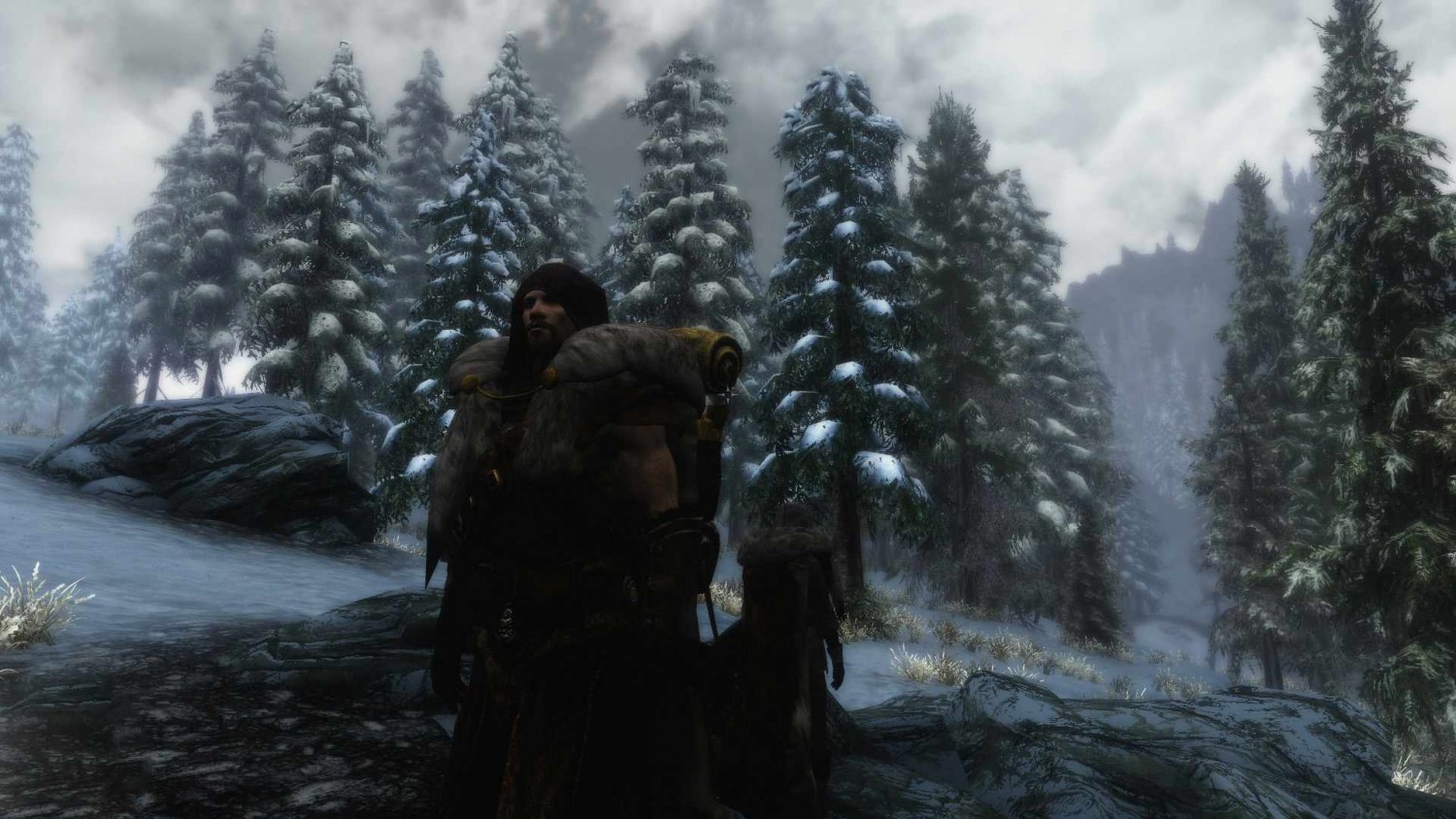 MCM Skyrim - Legendary Edition. Amazons of Skyrim.