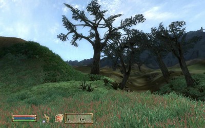 второй скриншот из The Elder Scrolls IV: MorrOblivion